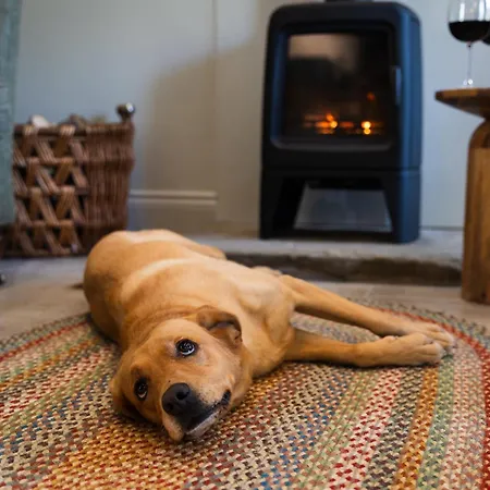 Ferienhaus Neddy Meadow *